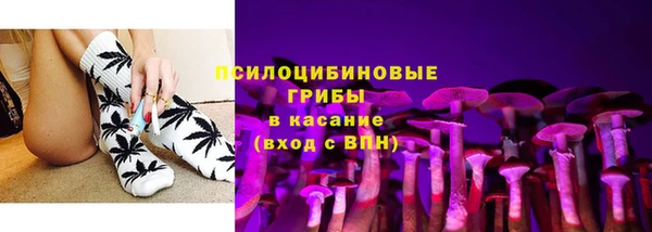 дурь Белокуриха