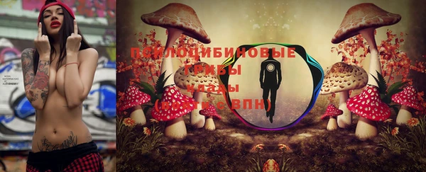 дурь Белокуриха