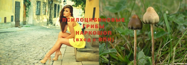 каннабис Беломорск