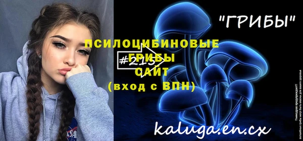 дурь Белокуриха