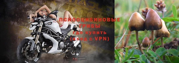каннабис Беломорск